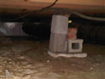 Project Image 1