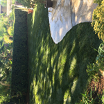 Project Image 1