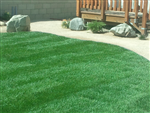 Project Image 1