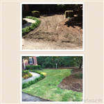 Project Image 2
