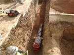 Project Image 2