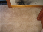 Project Image 2