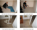 Project Image 2