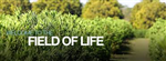 About Us Image