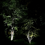 About Us Image